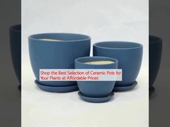 Shop the Best Selection of Ceramic Pots for Your Plants at Affordable Prices