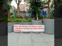 Fiber Clay Planters The Perfect Choice Looking for Durable and Stylish Planting Solutions