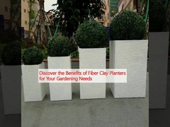 Discover the Benefits of Fiber Clay Planters for Your Gardening Needs
