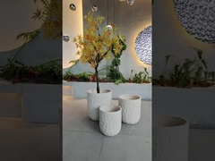 Modern Fiber Cement Pot Frost Resistant And Character Design For Plants
