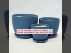 Discover the Beauty and Functionality of Ceramic Pots Perfect for Any Plant Shop Now