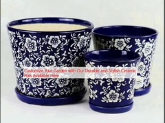 Customize Your Garden with Our Durable and Stylish Ceramic Pots Available Here