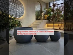 Shop the Best Selection of Fiber Clay Planters for Your Business Needs