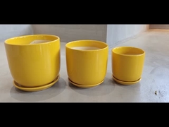 Durable And Affordable Ceramic Pots For Your Planting Needs Various Sizes Available