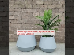 Beautifully Crafted Fiber Clay Planter for Your Greenery Collection