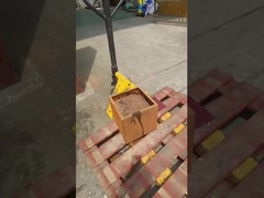 Advantages of Stainless Steel Planters