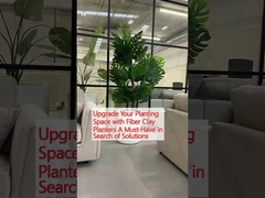 Upgrade Your Planting Space with Fiber Clay Planters A Must-Have in Search of Solutions