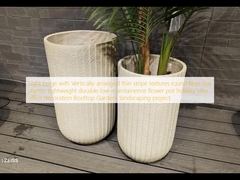 Light beige with Vertically arranged thin stripe textures round fiber clay planter lightweight durable low-maintainence flower pot holiday Villa office decoration Rooftop Gardens landscaping project