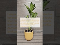 Unique yellow Flower Pots: Distinctive honeydew melon rind Patterns round fiber clay planter lightweight durable low-maintainence holiday Villa office decoration Rooftop Gardens landscaping project