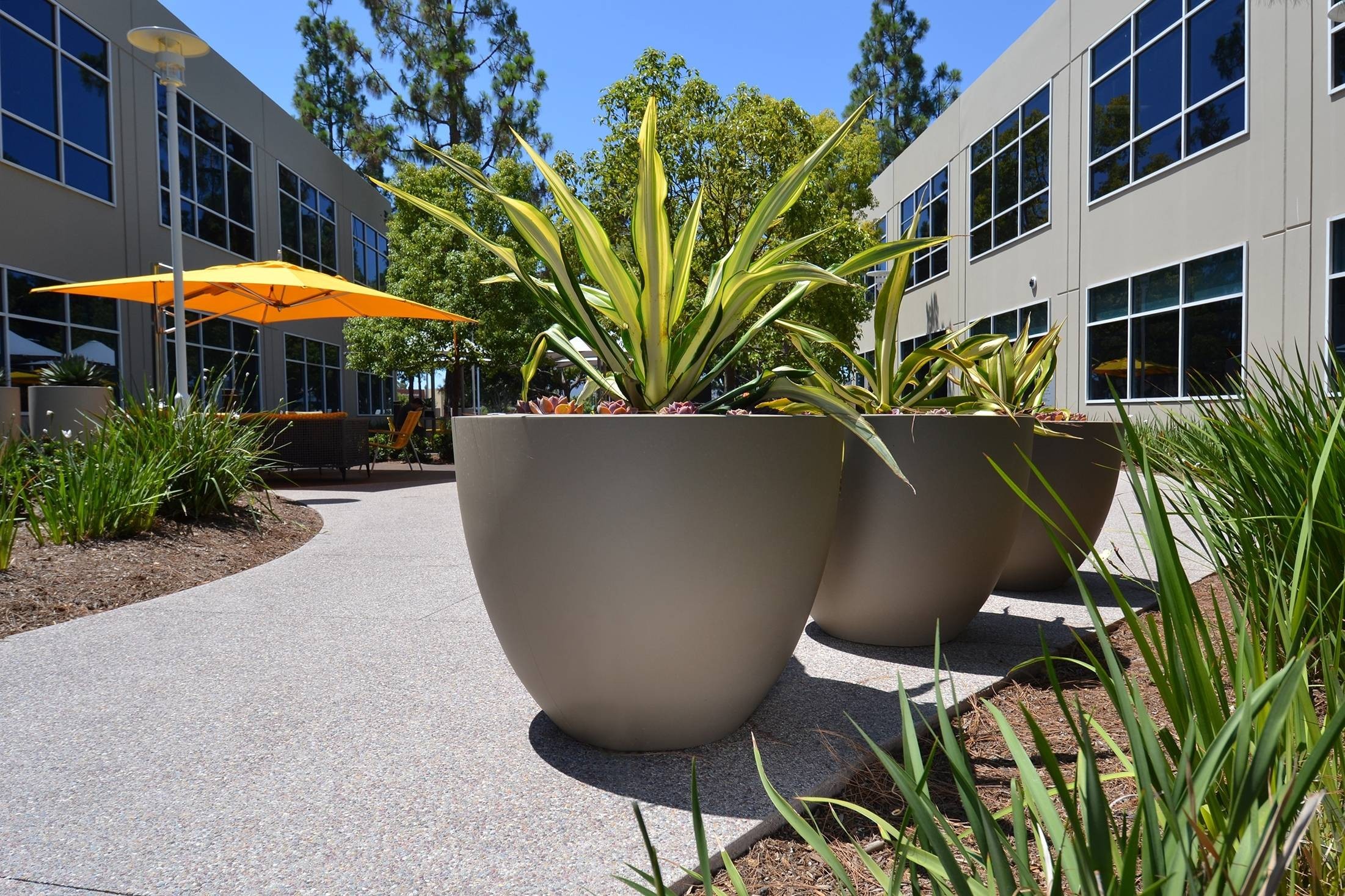 Latest company blogs about Unveil New Realm of Outdoor Aesthetics with Fiberglass Flower Pots