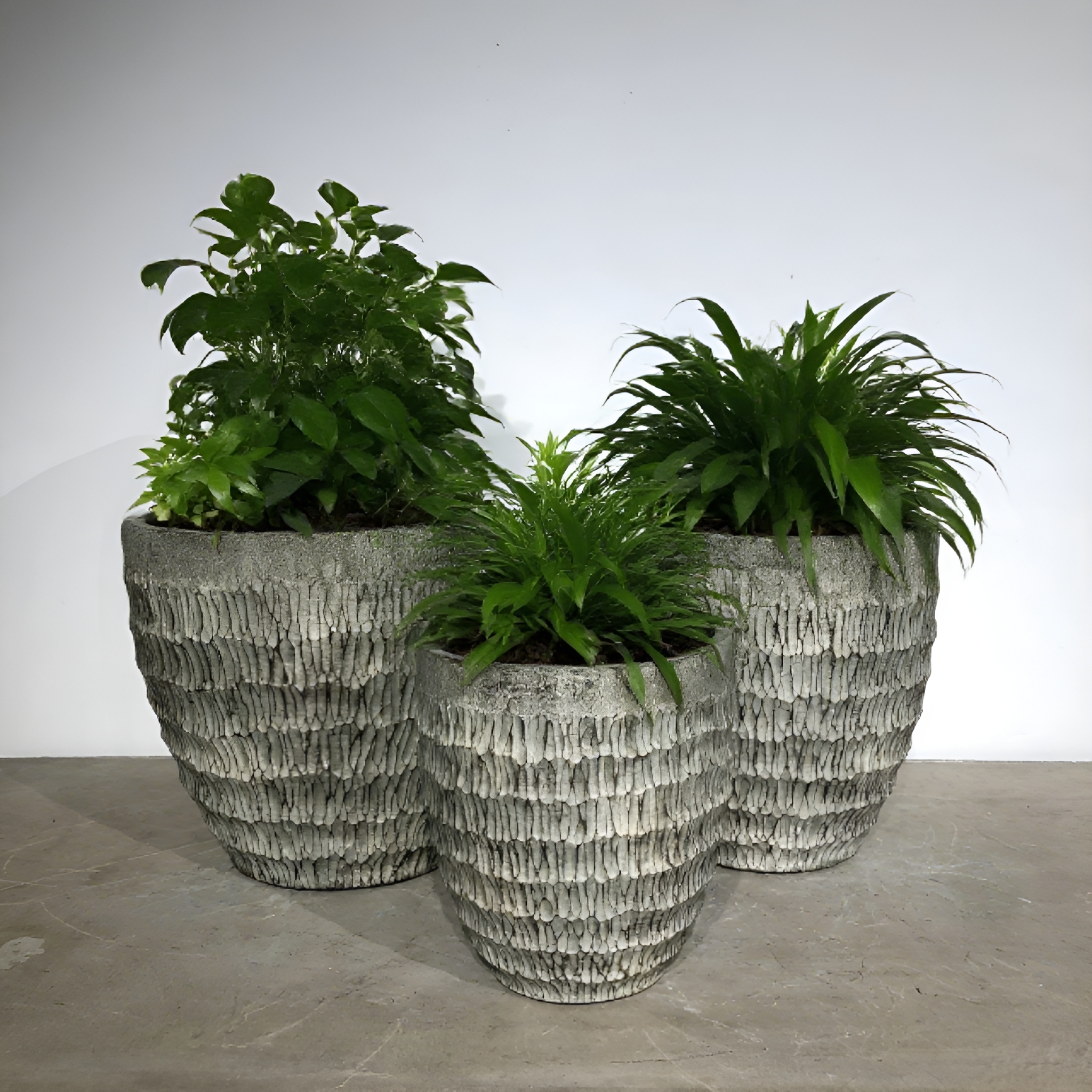 Latest company blogs about Cement Flower Pots: Weld “Wabi - Sabi Style” into Life