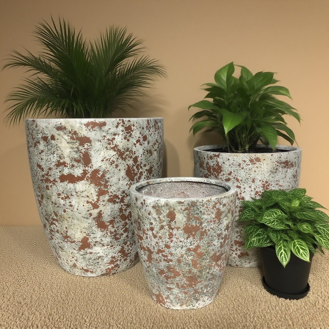 Latest company blogs about Cement Flower Pots | Plant “Vintage Industrial Style” into Life