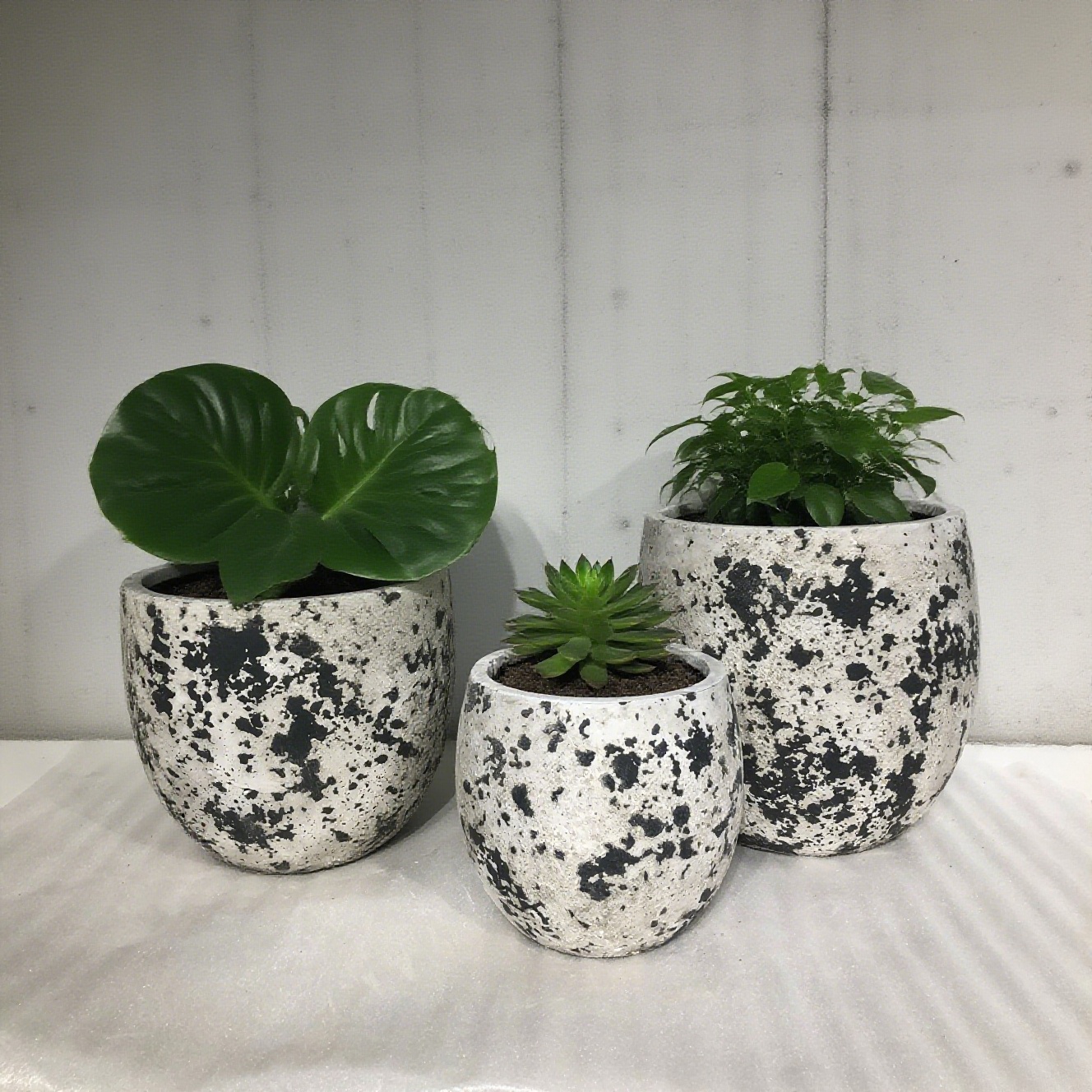Latest company blogs about Cement Flower Pots | Plant “Galaxy Fragments” into Life
