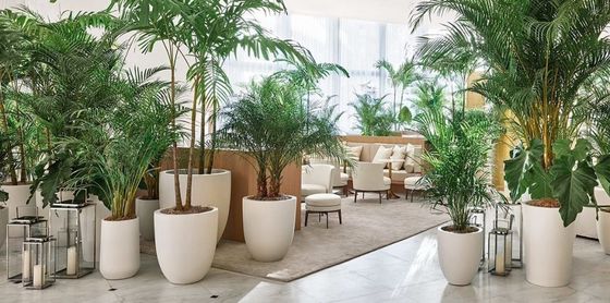 Buy Waterproof Fiberglass Flower Pots Resin FRP Plant Pots For Decor online manufacture