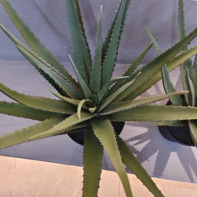 Buy Lifelike Plastic Aloe Plant Indoor Outdoor Artificial Aloe Vera Faux Greenery Decoration online manufacture