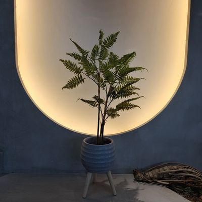 Buy Lifelike Artificial Fern Tree for Indoor/Outdoor Decor online manufacture
