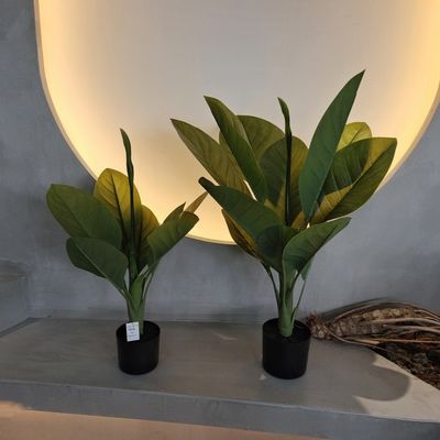 Buy Long Lasting Plastic Material Artificial Plants 70cm Artificial Dieffenbachia Tree online manufacture