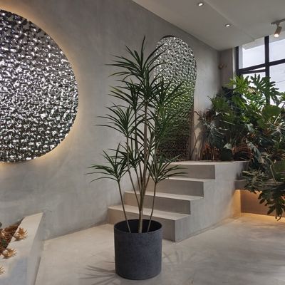 Buy Round Recycled Plastic Planters Lightweight for Planting Seedling online manufacture
