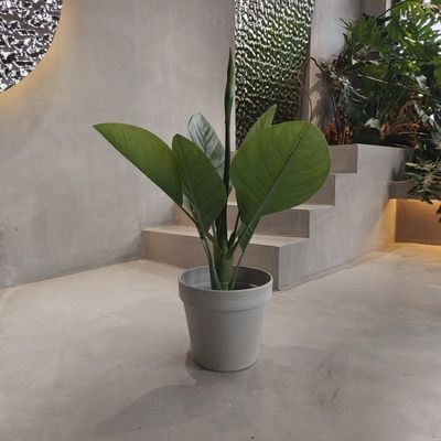 Buy Vibrant Eco Friendly Plastic Garden Pots Waterproof 250*175*230MM online manufacture