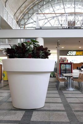 Buy Drainage Hole Hanging Fiberglass Planters For Indoor And Outdoor Decor online manufacture