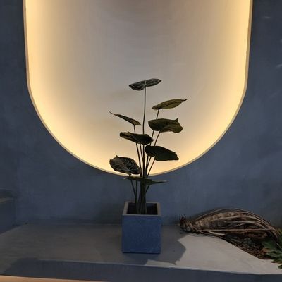 Buy Eco Friendly Realistic Plastic Artificial Plants Artificial Indoor Plants 90cm online manufacture