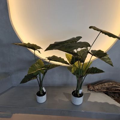 Buy Hypoallergenic Plastic Artificial Plants Realistic Uv Resistant 70-95CM online manufacture