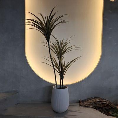 Buy Artificial Yucca Tree Faux Plant Insect Resistant Waterproof 160CM online manufacture
