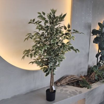 Buy Hypoallergenic Plastic Fake Plants Insect Resistant 120CM online manufacture
