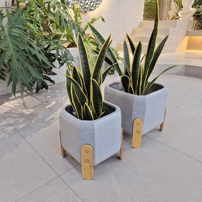 Buy Customed Design Modern Style Fiber Clay Planter With Hand Carve Finishing online manufacture