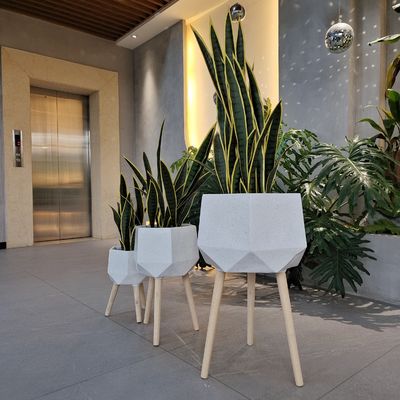Buy Easily Cleaned Fiber Clay Planter For Indoor And Outdoor Individuality online manufacture