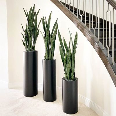 Buy Get the Best Deals on Durable and Stylish Fiberglass Flower Pots for Your Garden online manufacture