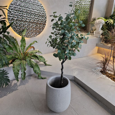Buy Create a Beautiful Garden with Fiberglass Flower Pots Durable and Lightweight online manufacture