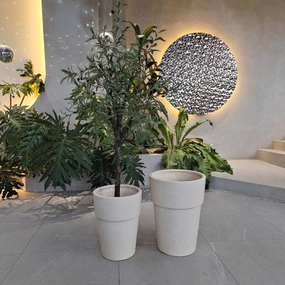 Buy Customized Fiber Cement Pot With Hand Carved Finishing The Ultimate Plant Display Solution online manufacture