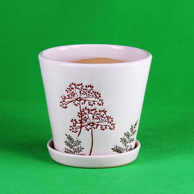 Buy Modern Ceramic Pots Easy Maintenance and Simple Design for Your Home Decoration online manufacture