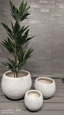 Buy Neutral Beige Natural Speckled Stone Mimic Design Round Fiber Clay Lightweight Planting Pot online manufacture