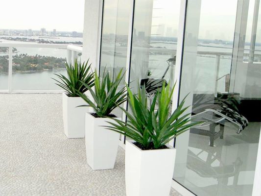 Square Fiberglass Flower Planter Pots For Indoor And Outdoor