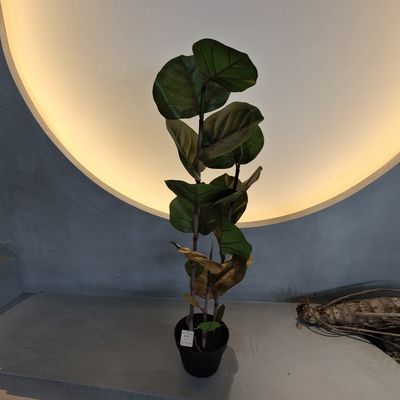 100cm Artificial Coccoloba Tree UV Resistant