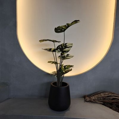 Insect Resistant Faux Monstera Tree 70-100cm For Low Maintenance Decor