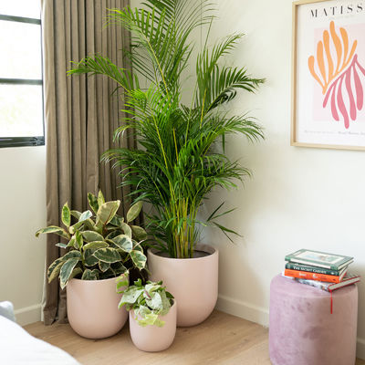 Transform Your Garden with Durable and Lightweight Fiberglass Flower Pots