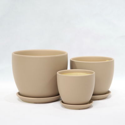 Discover The Best Selection Of Ceramic Pots For Your Plants Affordable Prices