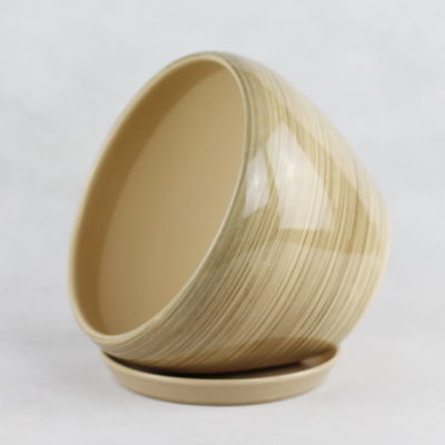 Stylish And Functional Ceramic Pots Perfect For Any Plant And Any Space
