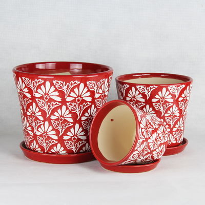 Unique Ceramic Pots For Distinctive And Eye-catching Plant Collection