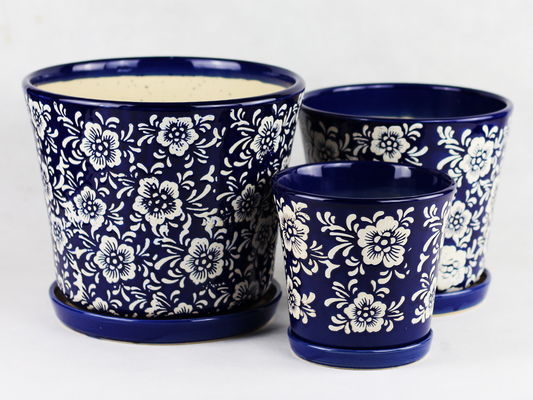 Beauty And Functionality Of Ceramic Pots For Any Plant Shop Small Size
