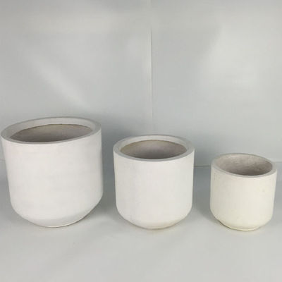 Wholesale Real Plant Display With Fiber Clay Planters Decoration
