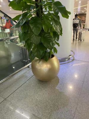 name